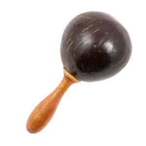 brightly colored maracas 23 04 26