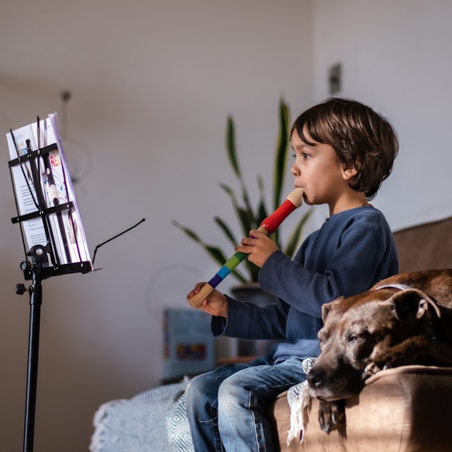 About kids musical instruments